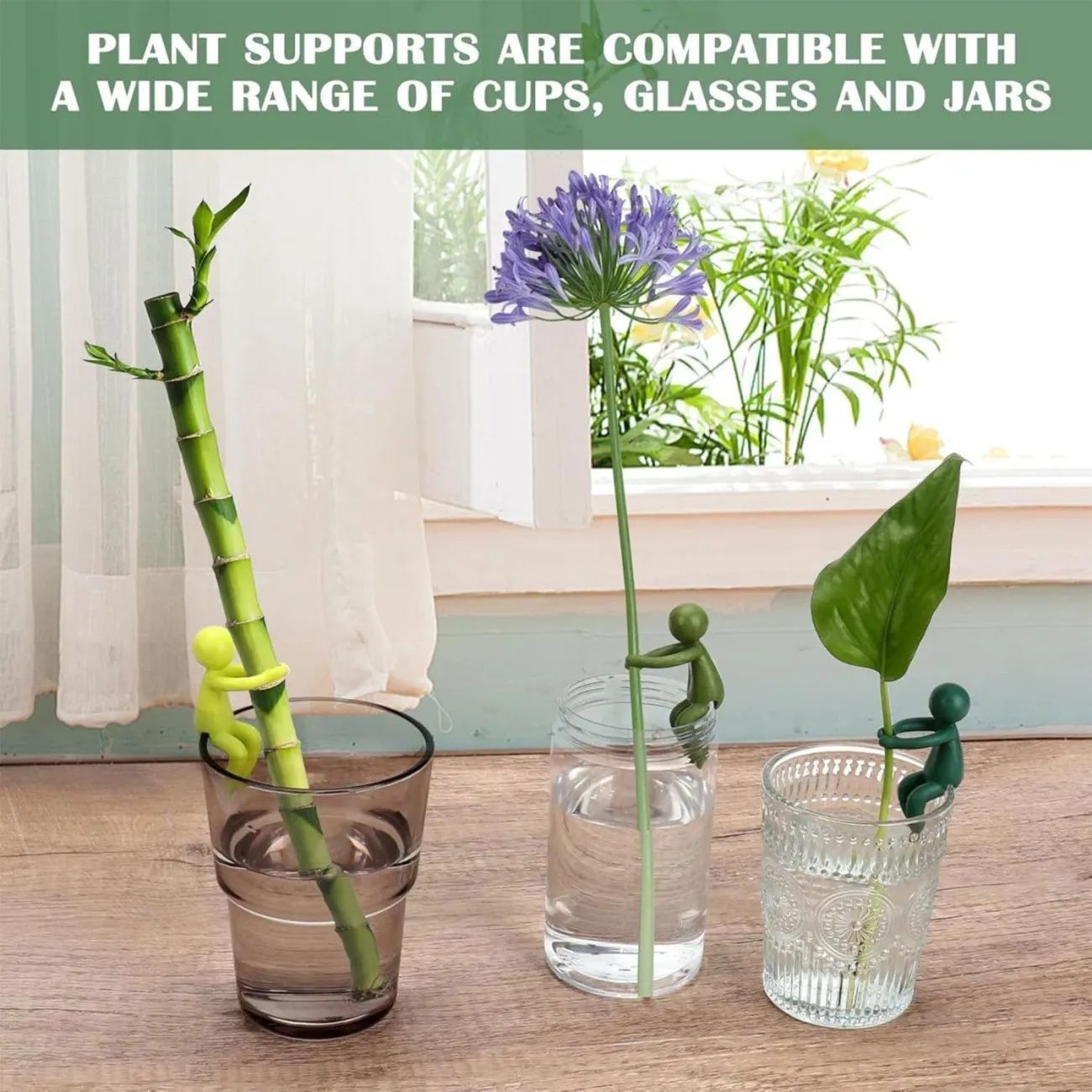 # Hydroponic Plant Fixing and Ornament
