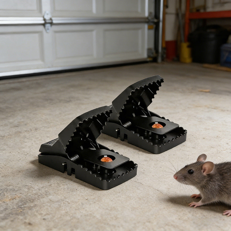 # Automatic Mouse Trap