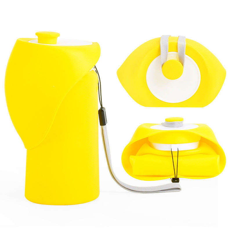 # Portable Pet Water Bottle