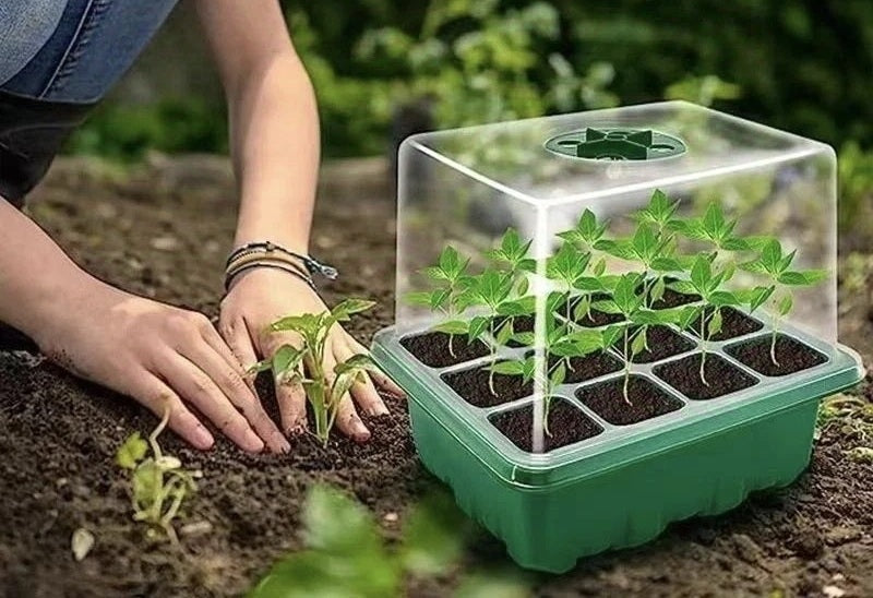 12-Cell Seedling Pot