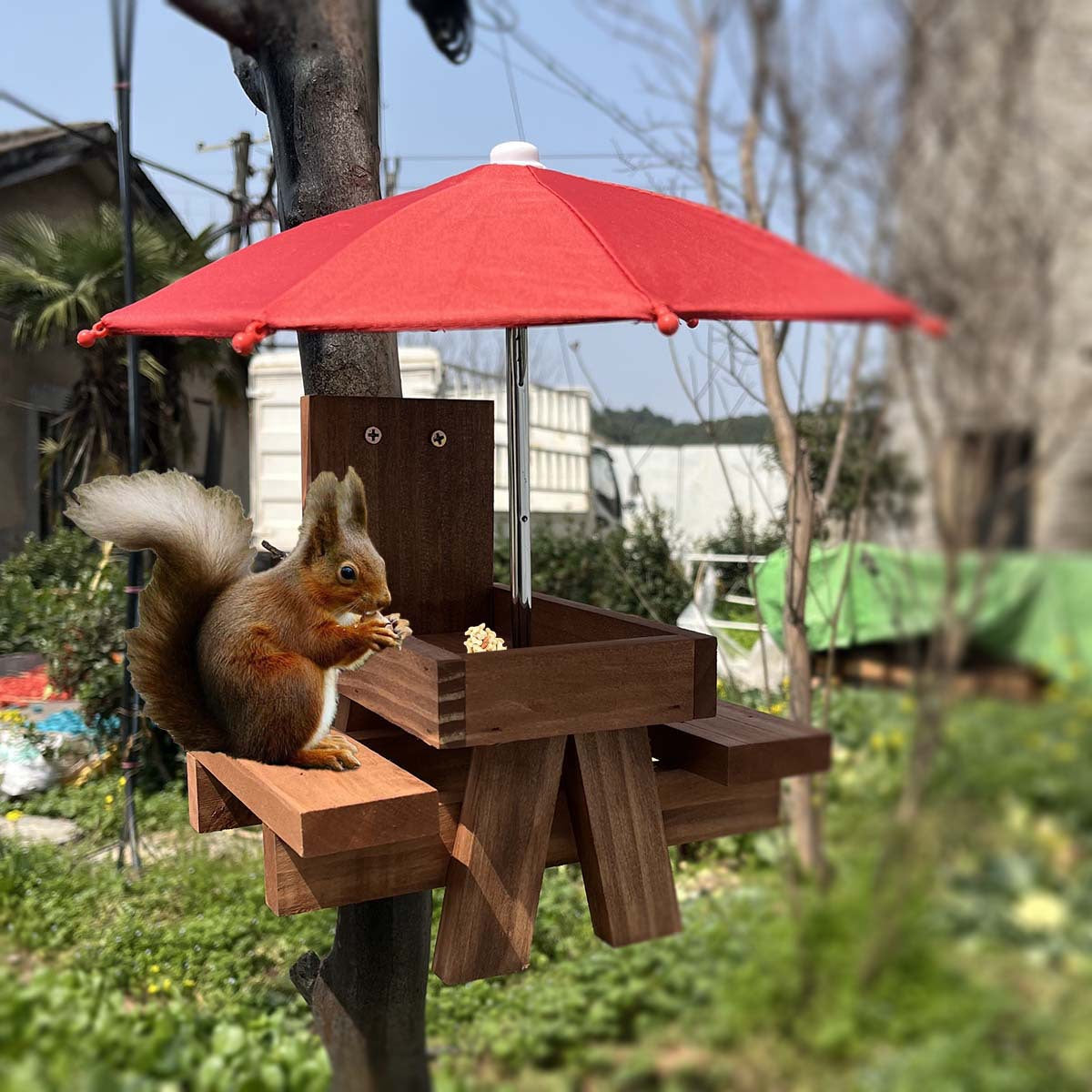 # Solid Wood Small Animal Feeding Table with Red Umbrella