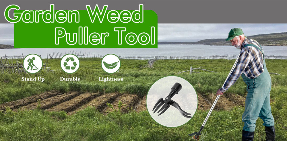 Standing Manual Garden Weeder