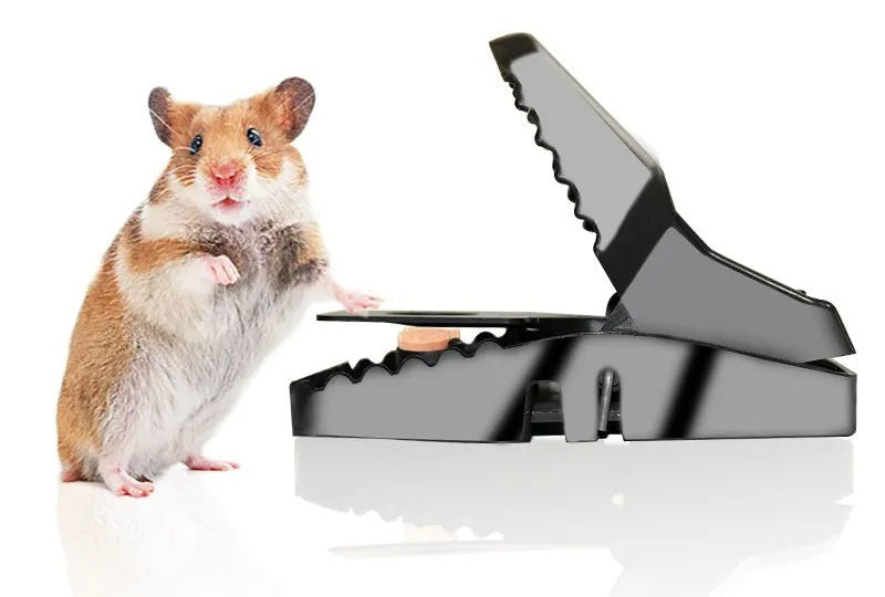 # Automatic Mouse Trap