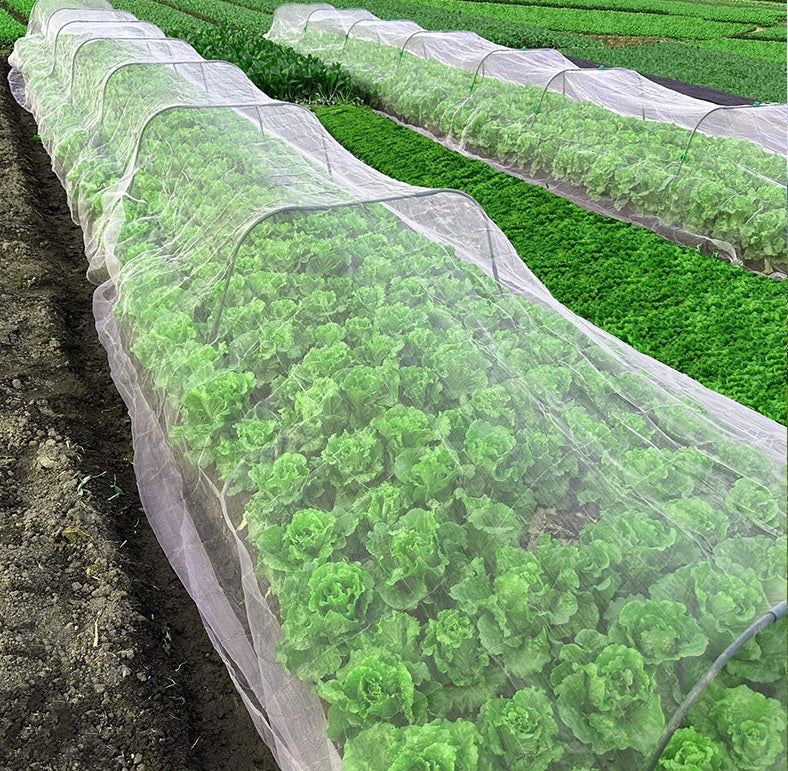 # Agricultural Insect Net