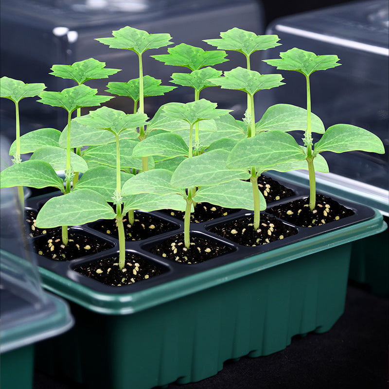 12-Cell Seedling Pot