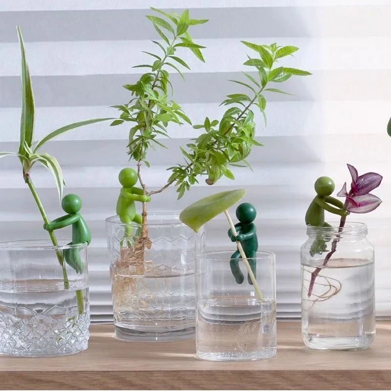 # Hydroponic Plant Fixing and Ornament