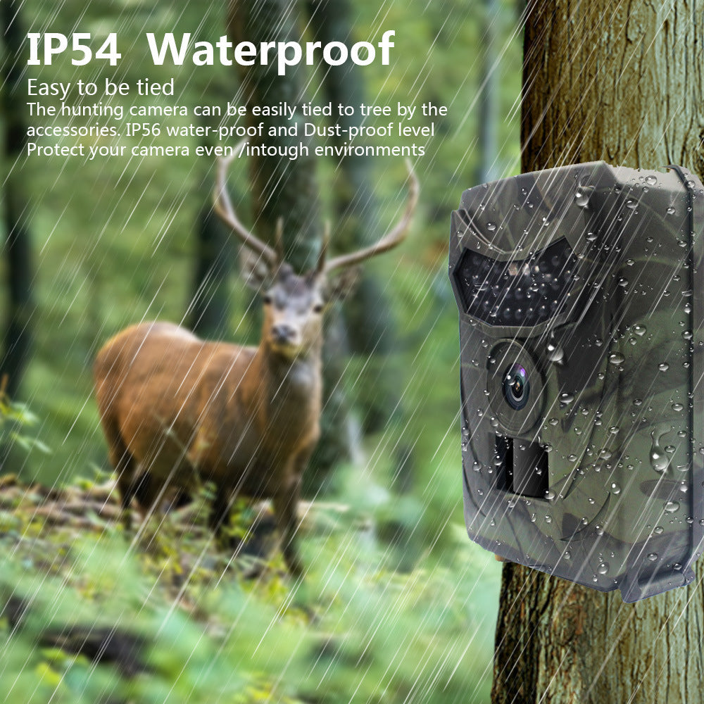 Infrared Motion Monitoring Camera