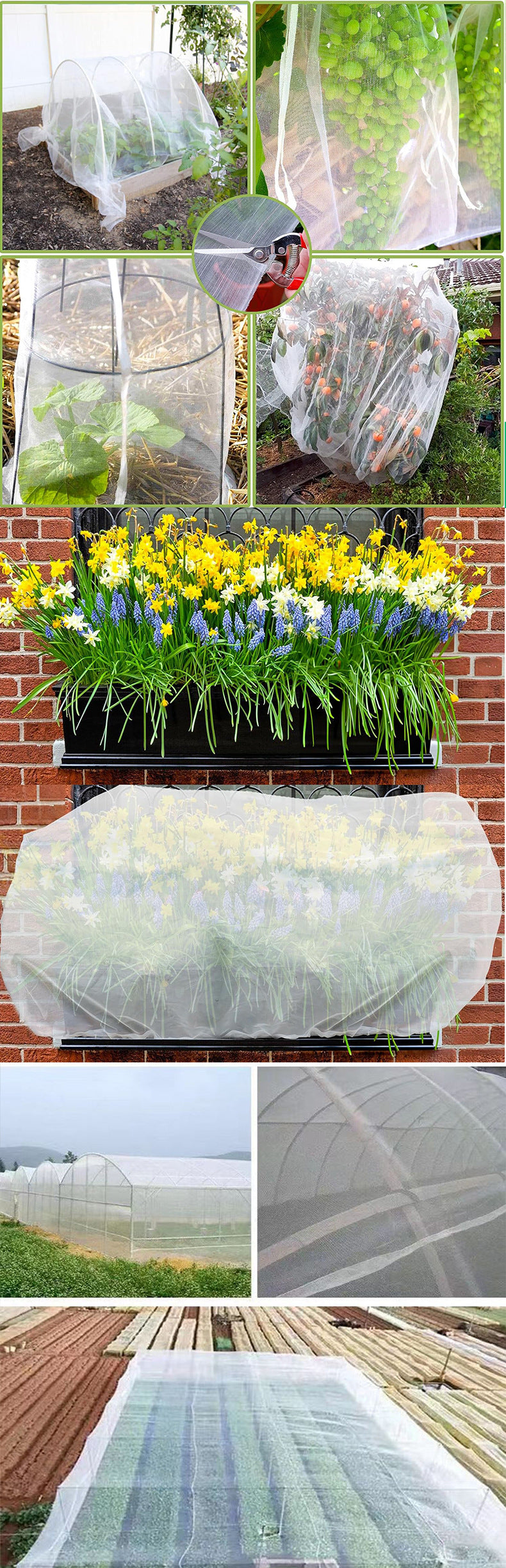 # Agricultural Insect Net