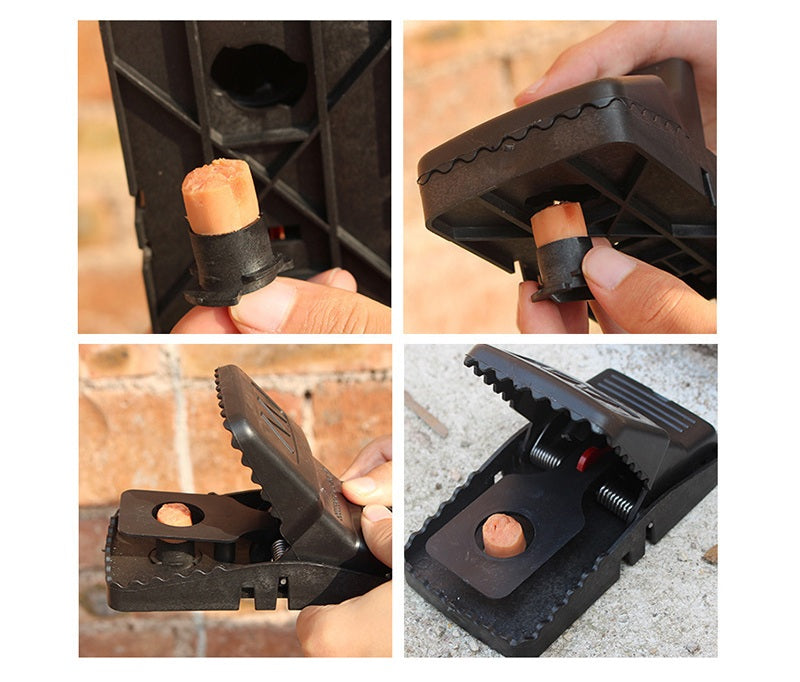 # Automatic Mouse Trap