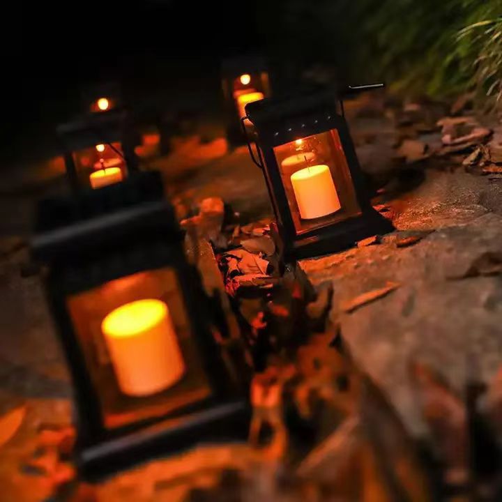 Solar Garden Light