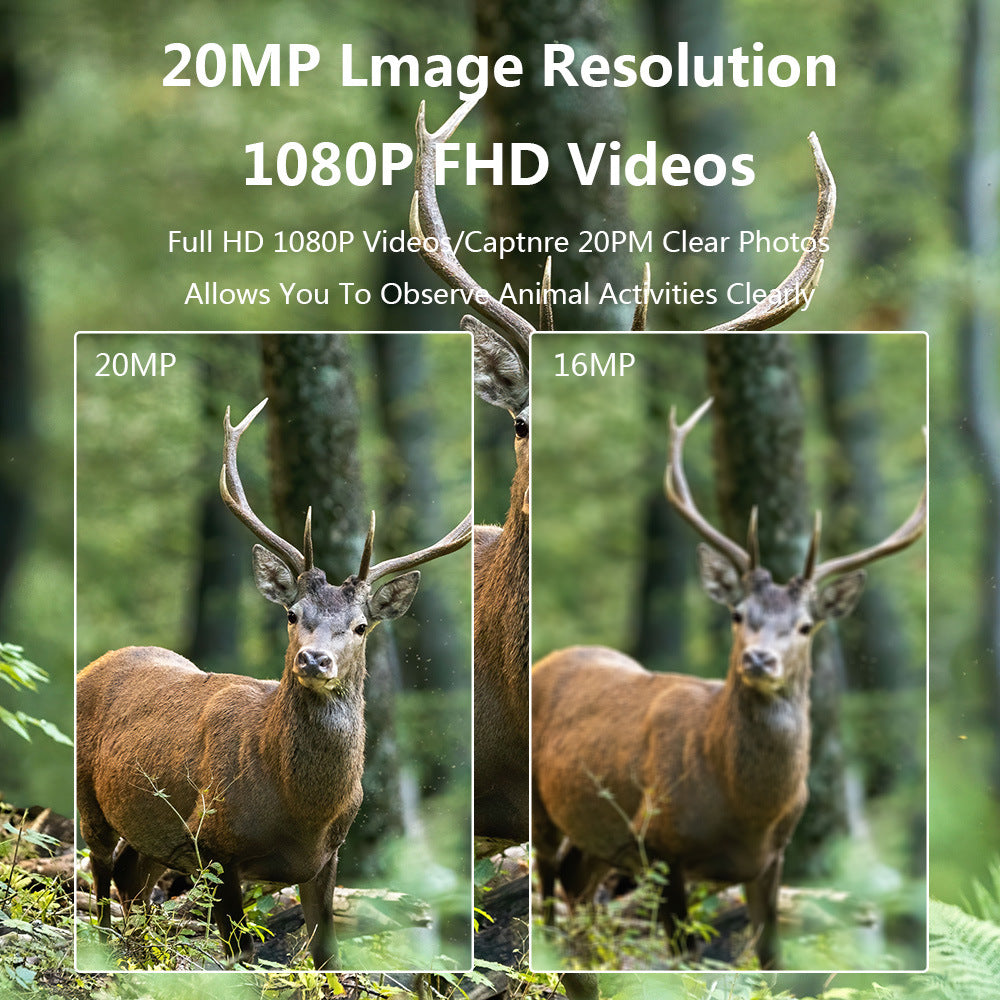 Infrared Motion Monitoring Camera