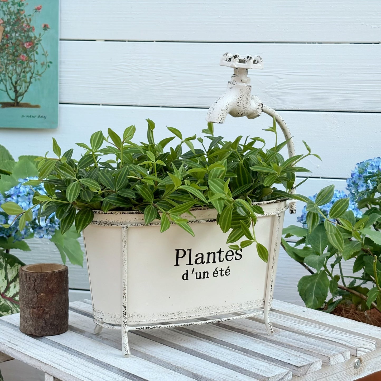 # Faucet-Shaped Gardening Pot