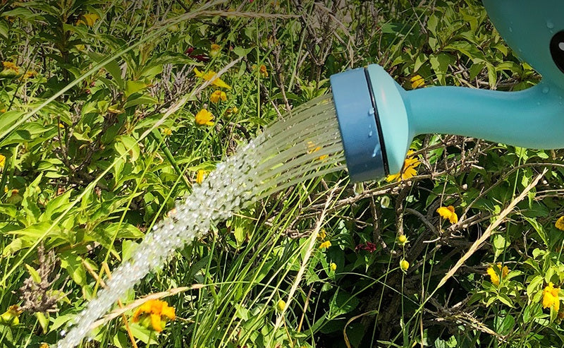 # Little Elephant Long-Spouted Children's Gardening Watering Can