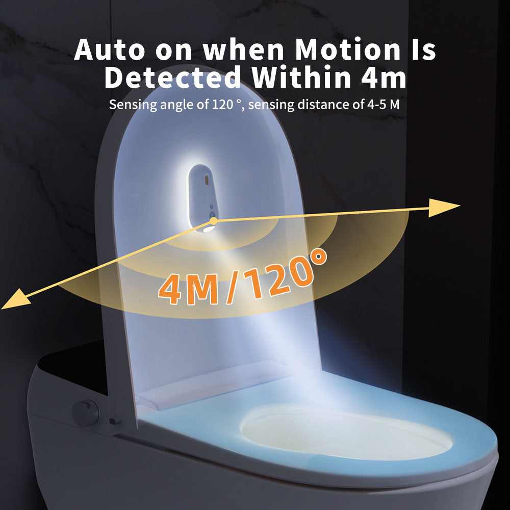 # Human Body Induction Sterilizing Toilet Light