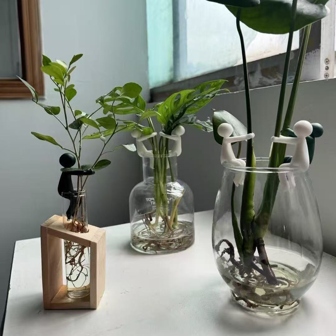 # Hydroponic Plant Fixing and Ornament