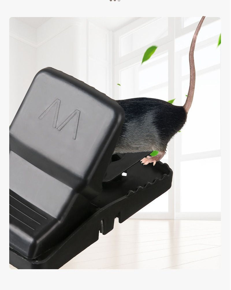 # Automatic Mouse Trap