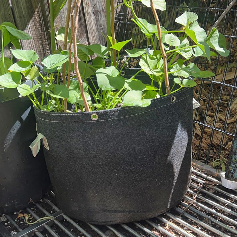 # Thickened Non-woven Fabric Planting Bags