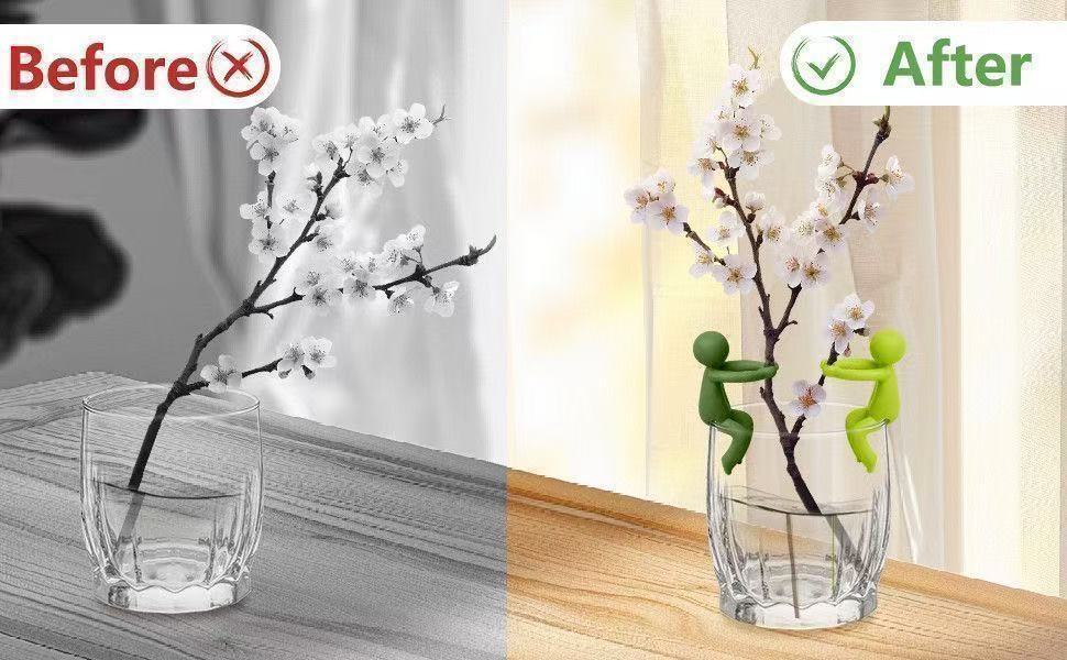 # Hydroponic Plant Fixing and Ornament