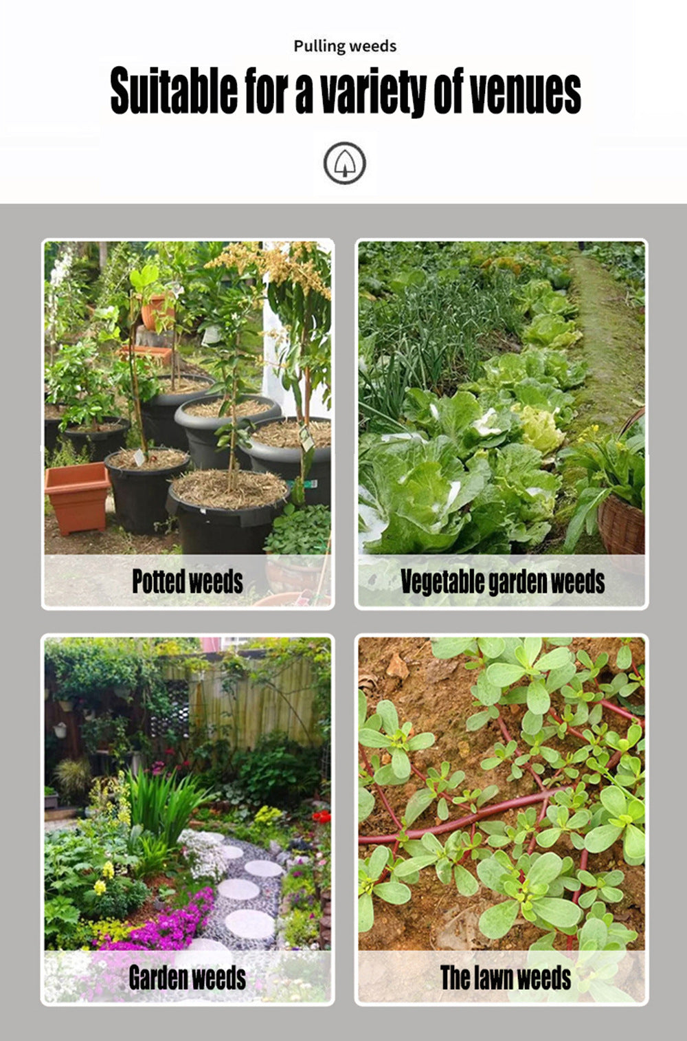 Standing Manual Garden Weeder