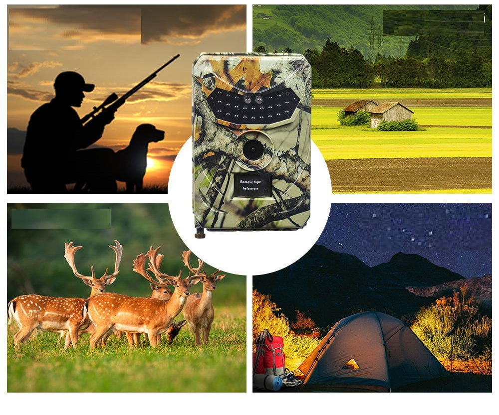 Infrared Motion Monitoring Camera