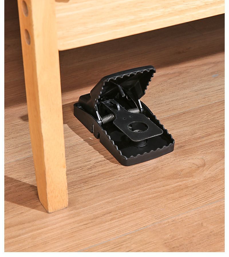 # Automatic Mouse Trap