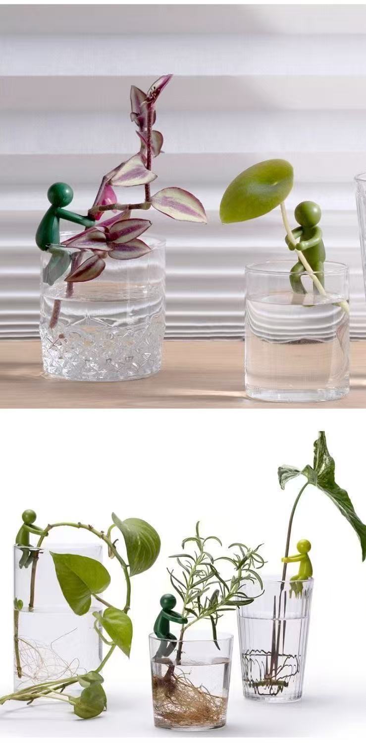 # Hydroponic Plant Fixing and Ornament