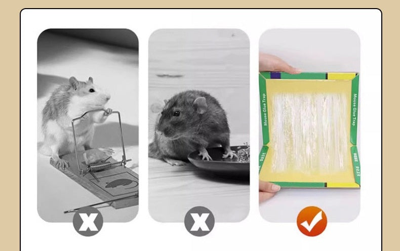 Strong, Thickened Mouse Sticky Trap