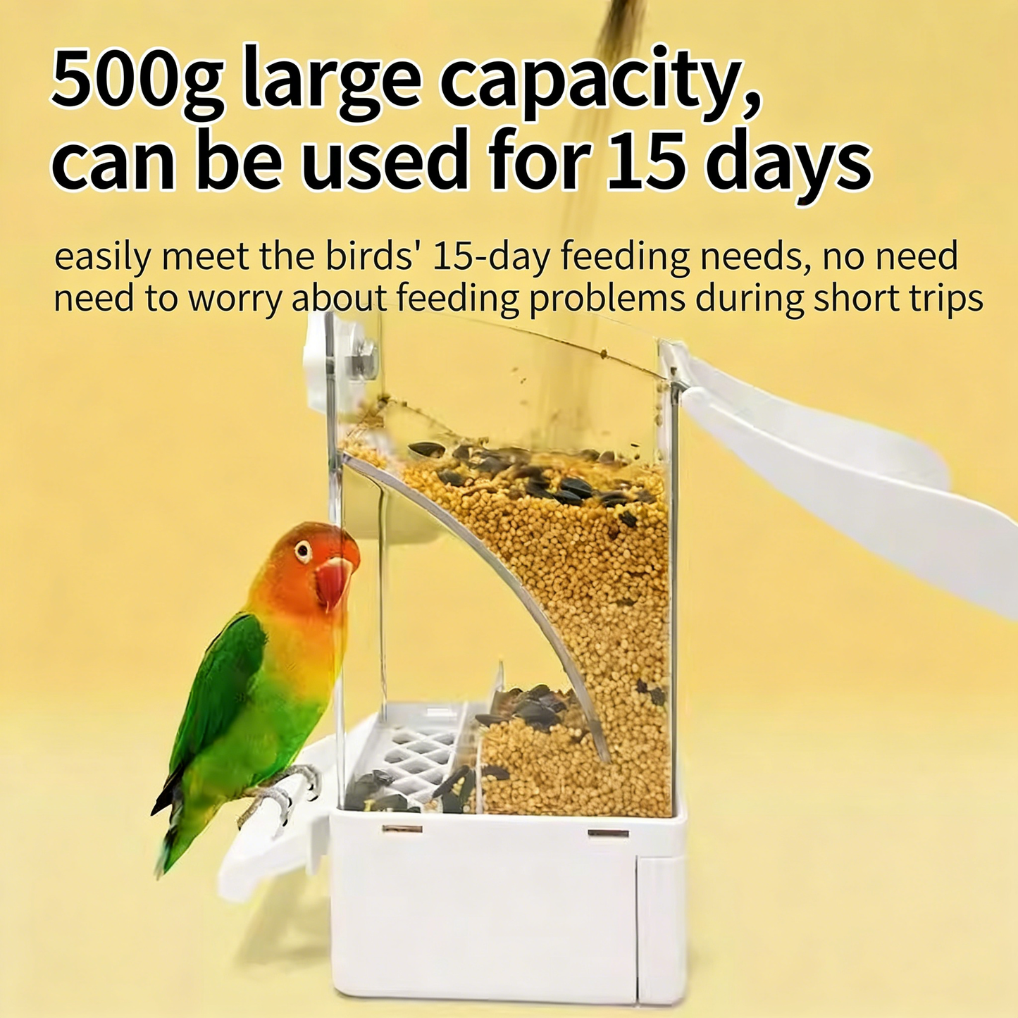 Automatic Parrot Feeder