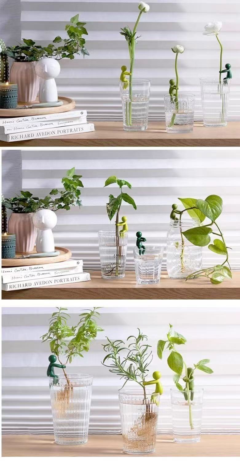 # Hydroponic Plant Fixing and Ornament