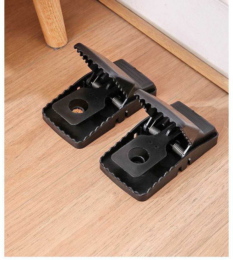 # Automatic Mouse Trap