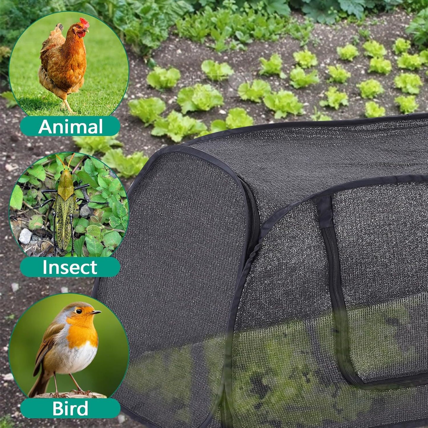 # Pop-up Plant Protective Cover