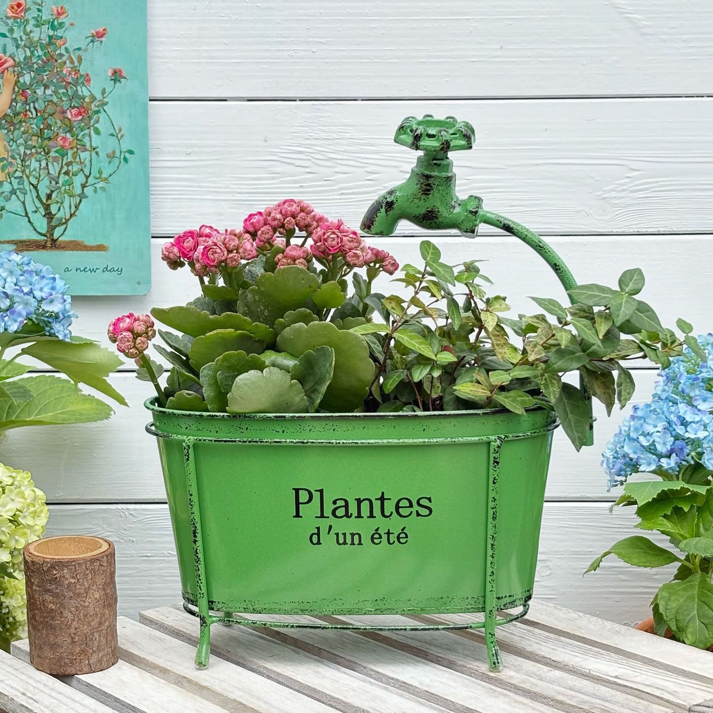 # Faucet-Shaped Gardening Pot
