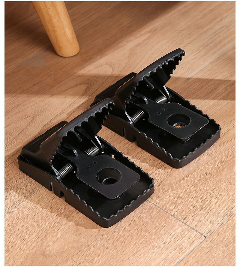# Automatic Mouse Trap