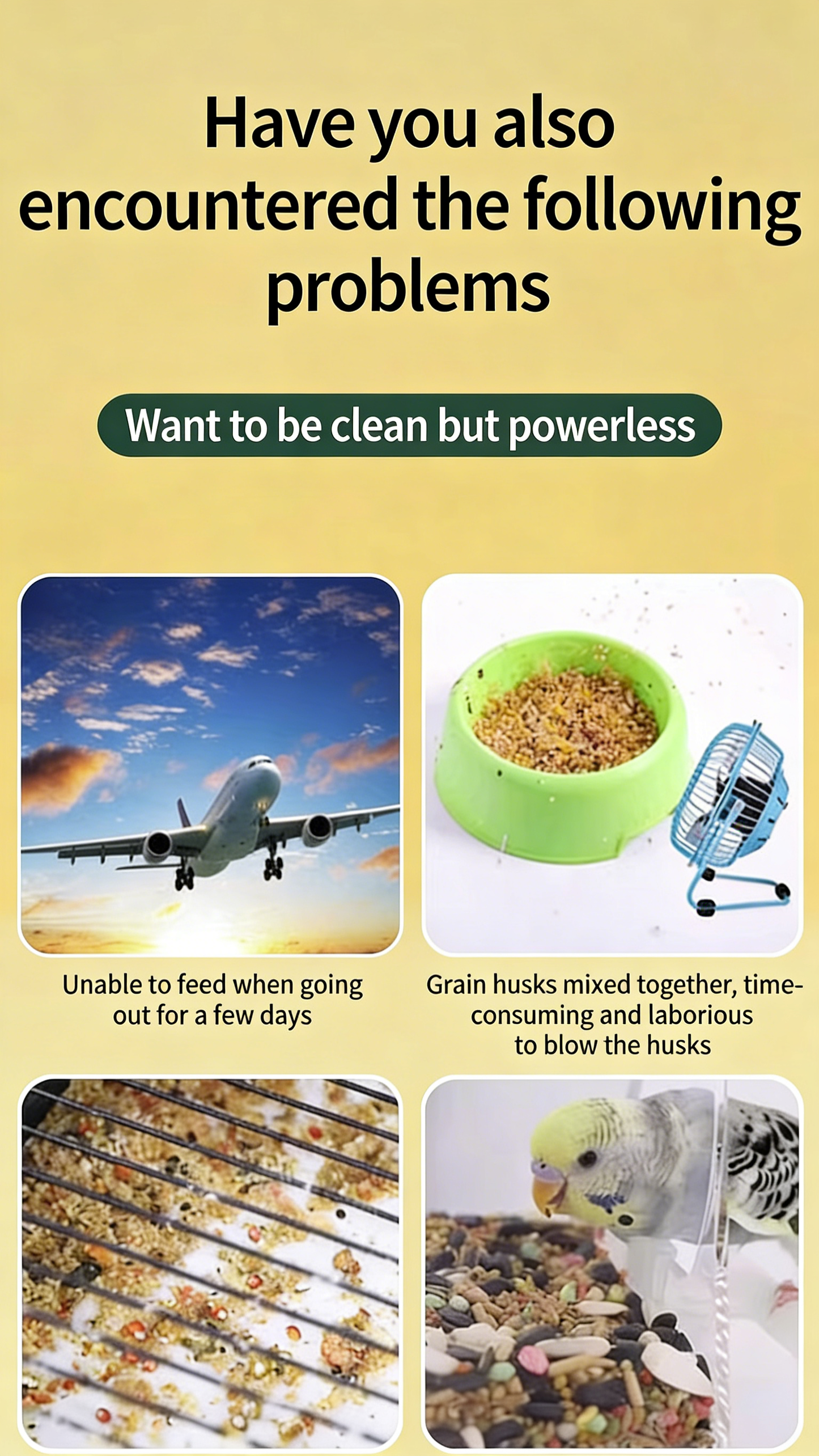 Automatic Parrot Feeder