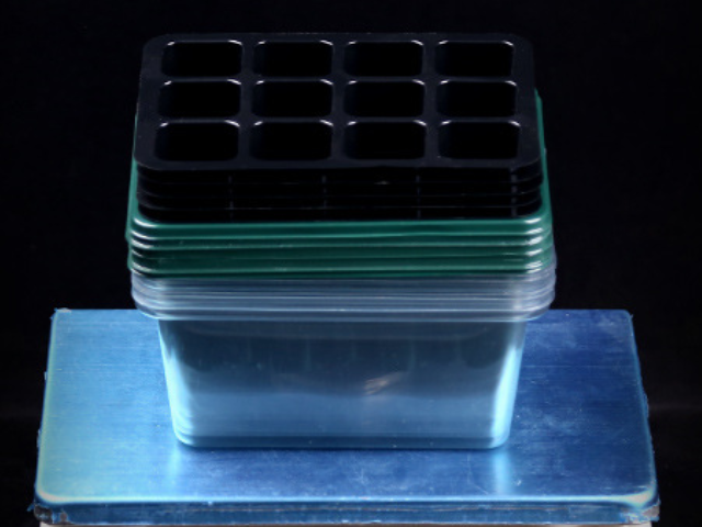 12-Cell Seedling Pot