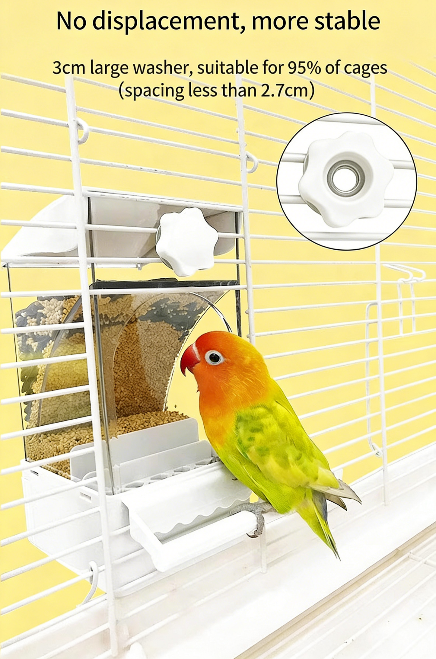 Automatic Parrot Feeder