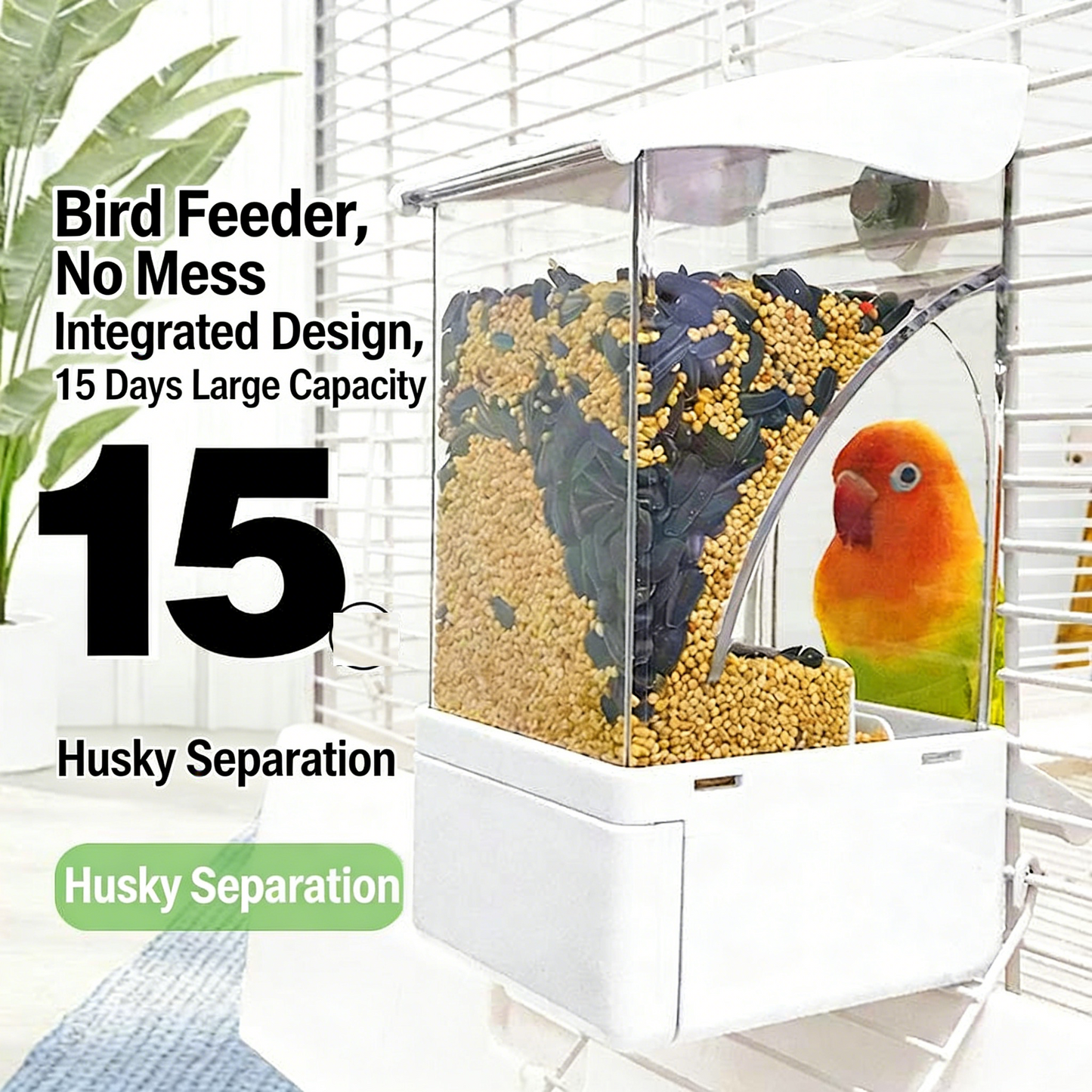 Automatic Parrot Feeder