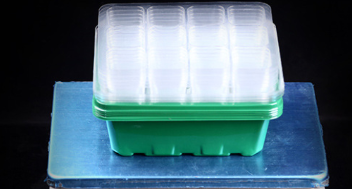 12-Cell Seedling Pot