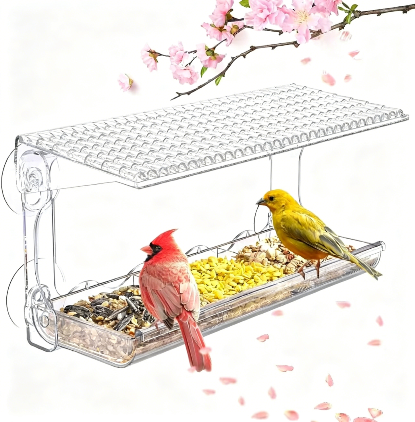 Outdoor Window-Style Transparent Bird Feeder